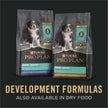 Purina Pro Plan Wet Puppy Food, Chicken & Rice Entrée Classic - 368 g Can (12 Pack) 🍁 All In One Marketplace Canada