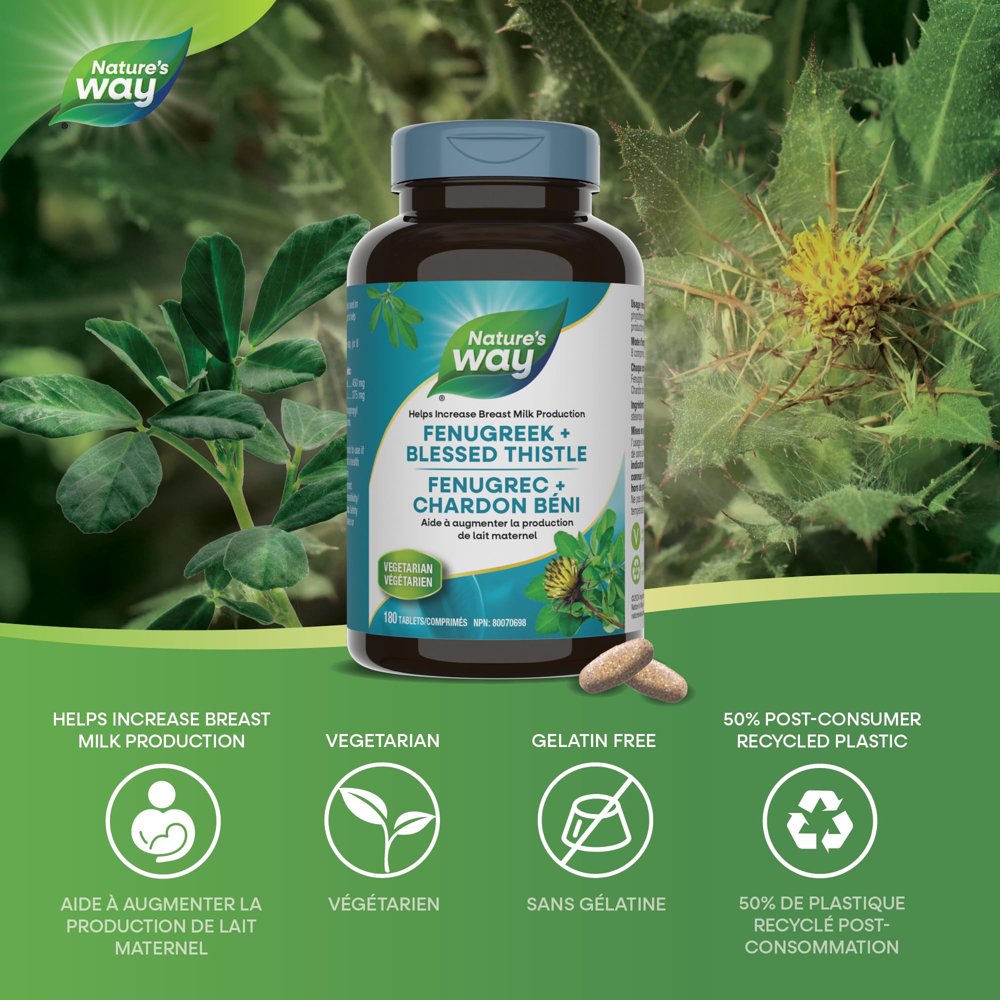 Nature's Way Fenugreek + Blessed Thistle – Herbal Supplement for Digestion & to Promote Lactation – 450mg Fenugreek & 375mg Blessed Thistle for Breastfeeding Support – 180 Vegetarian Tablets 🍁 All In One Marketplace Canada