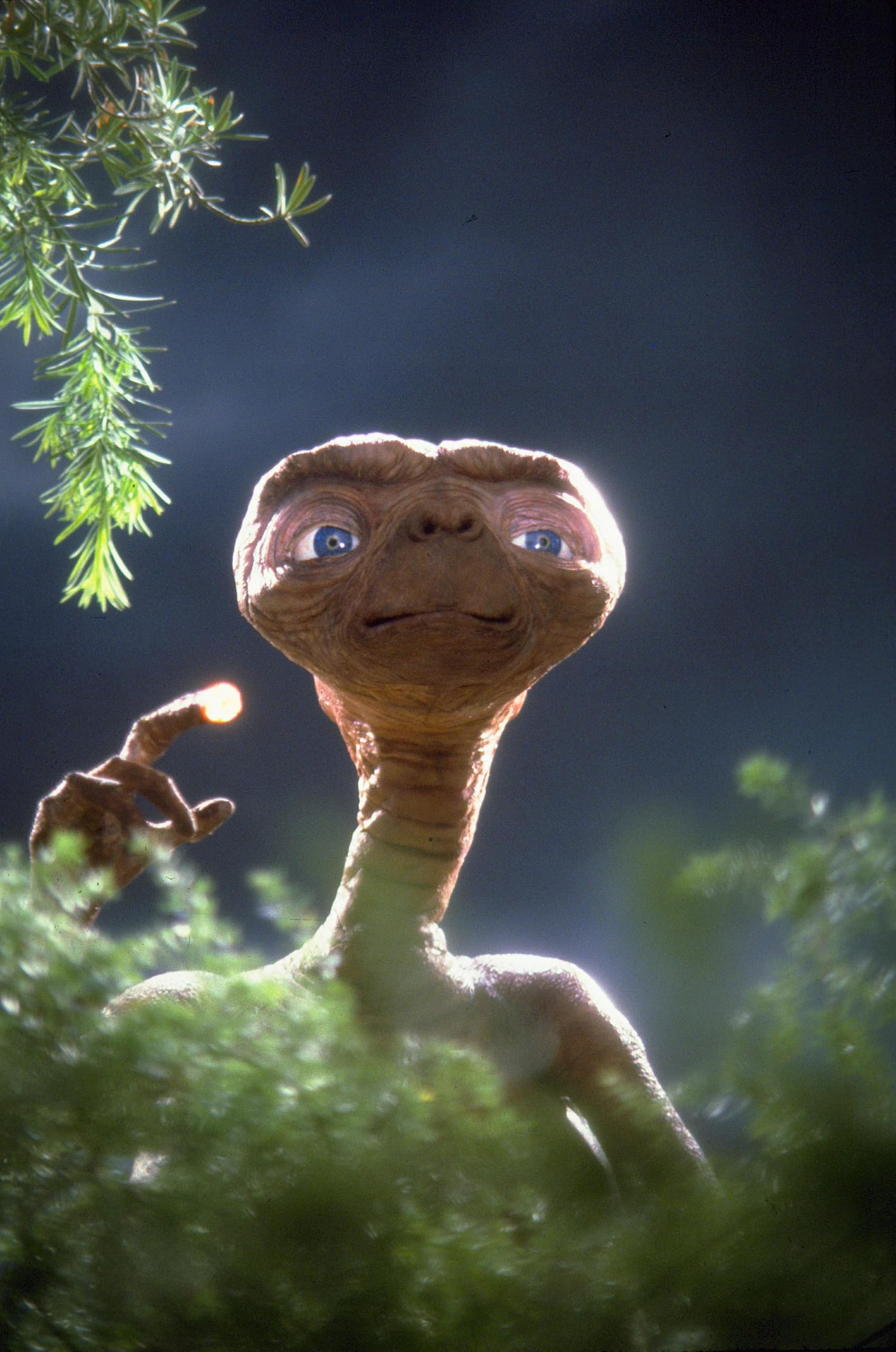 E.T. The Extra-Terrestrial [DVD] (Bilingual)