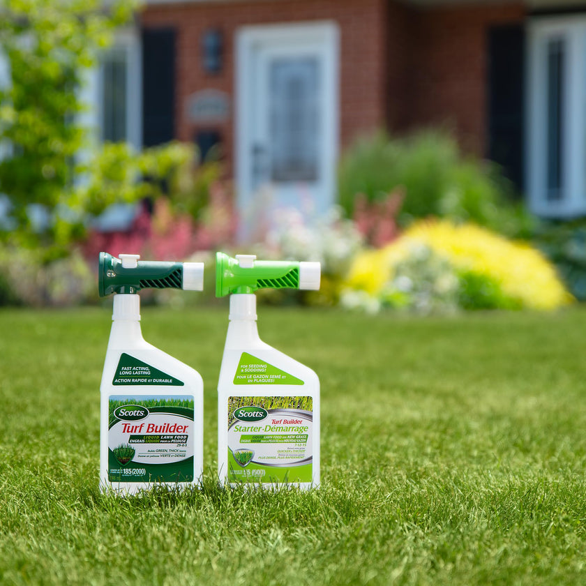 Scotts® Liquid Turf Builder® Fertilizer 29-0-3 946ML/185m2 🍁 All In One Marketplace Canada