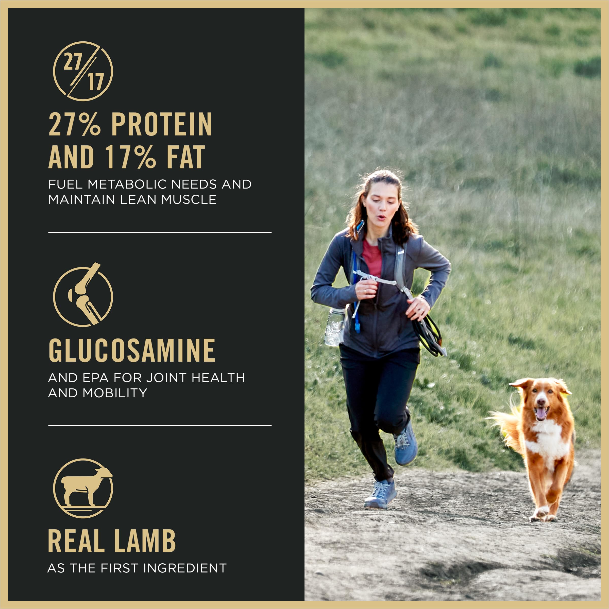 Purina Pro Plan Dry Dog Food, Sport Small Bites 27/17 Lamb & Rice - 17 kg Bag (1 Pack) 🍁 All In One Marketplace Canada