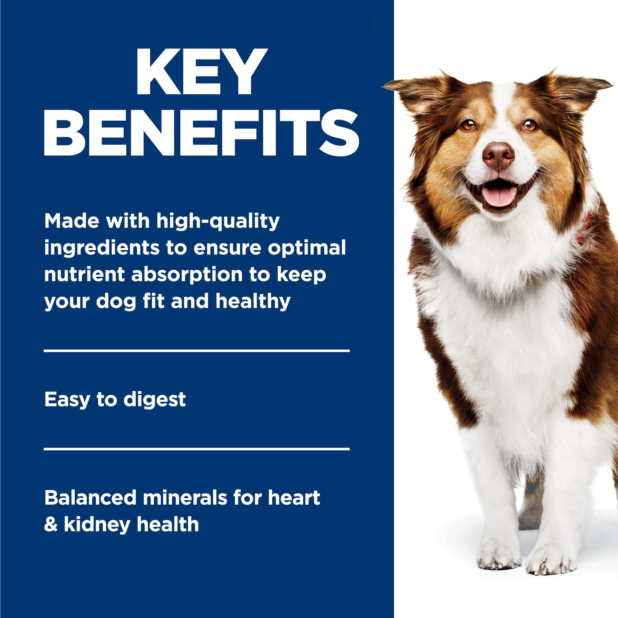Hill's Science Diet Adult 7+, Senior Premium Nutrition, Wet Dog Food, Beef & Vegetables Stew, 12.8 oz Can, Case of 12 🍁 All In One Marketplace Canada