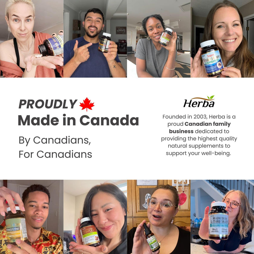 Herba Ceylon Cinnamon Capsules 4000mg - 180 Vegetable Capsules | Powerful 20:1 Extract from Sri Lanka | Equivalent to 4,000mg Dry Ceylon Cinnamon Powder | Made in Canada 🍁 All In One Marketplace Canada