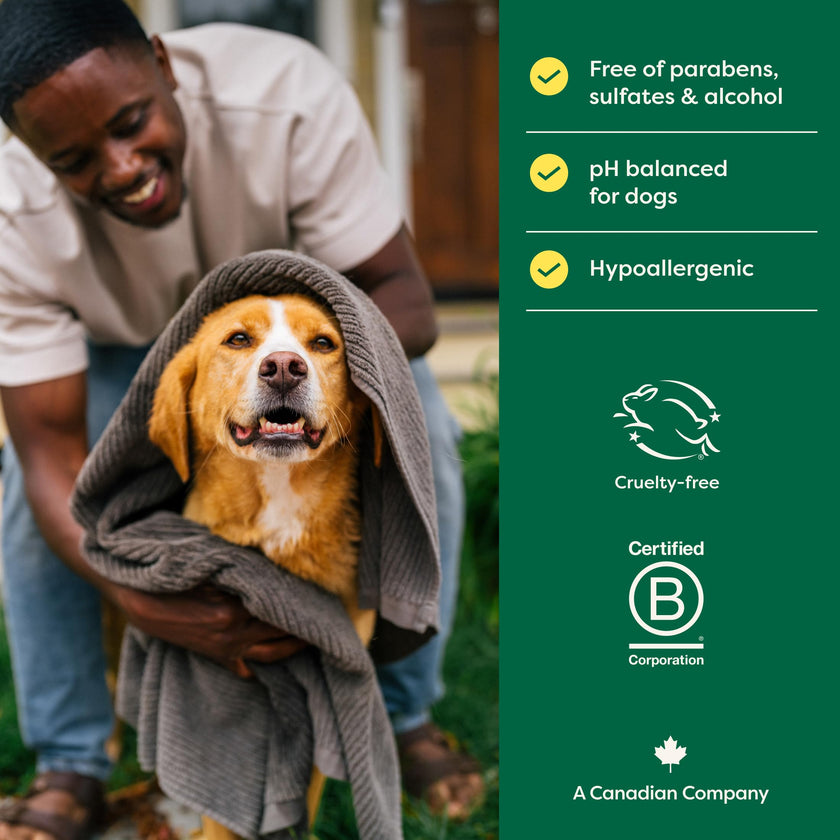 Earth Rated (A Canadian Company), 3-in-1 Soothing Dog Shampoo and Conditioner, Deodorizing Oatmeal Shampoos for Dogs and Puppies, Great for Smelly Pets, White Tea and Basil Scent, 473 ml 🍁 All In One Marketplace Canada