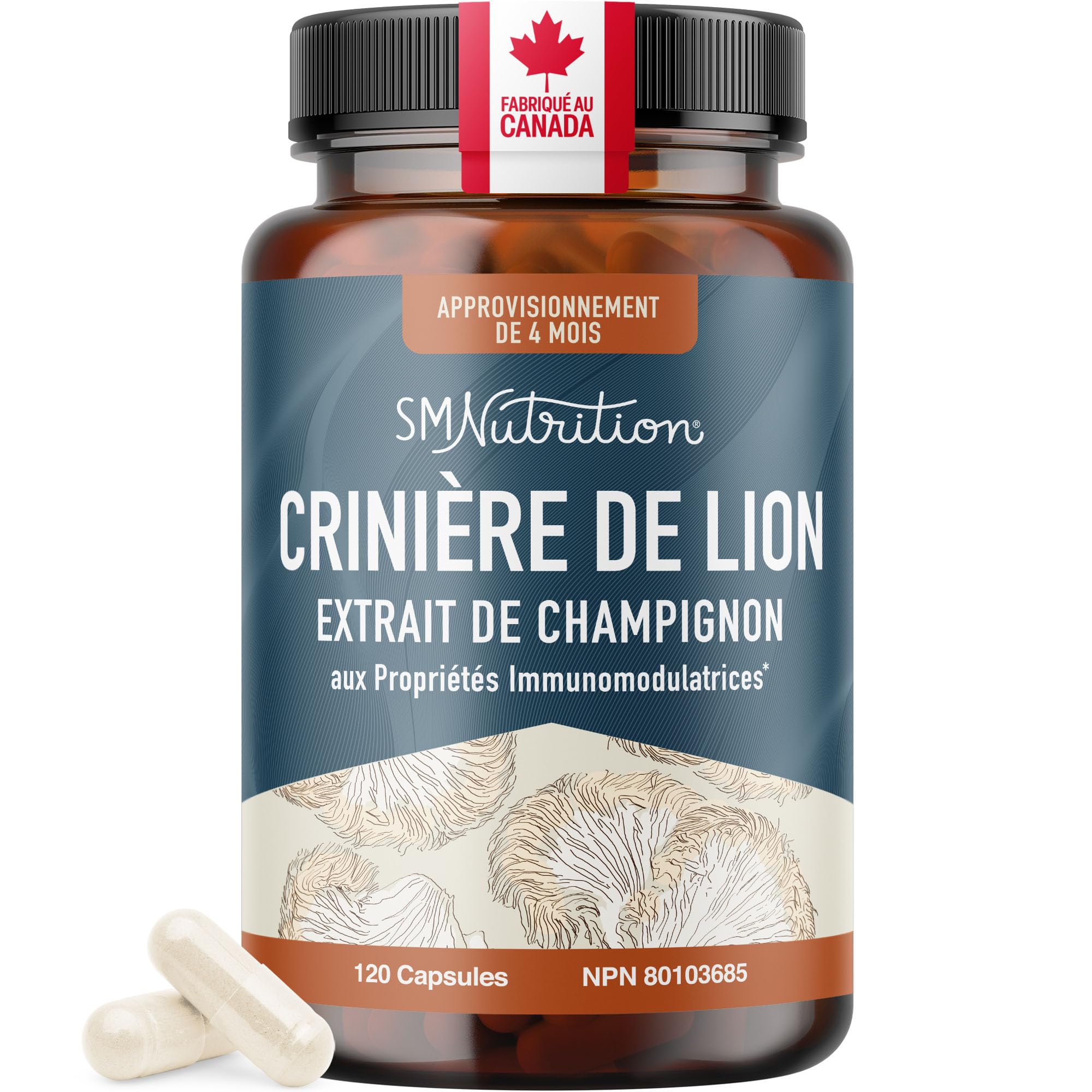 Lion’s Mane Supplement & Nootropic for Mental Clarity | 4 Month Supply | Performance & Memory Support | Antioxidant Rich & Immunomodulating Mushroom | Extra Strength Lions Mane 500mg | Non-GMO 120ct 🍁 All In One Marketplace Canada
