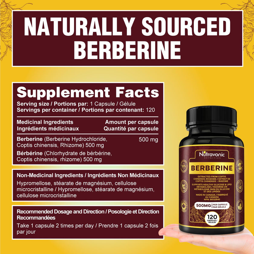 Nutravonic Berberine Supplements 1000mg Per Serving, 500mg Per Capsule | Made in Canada I Supports Healthy Glucose & Lipid Metabolism | Non-GMO, Vegan, Gluten-free, 120 Easy-to-Swallow Capsules 🍁 All In One Marketplace Canada