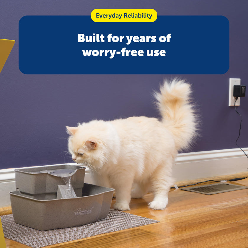 PetSafe Replacement Pump for Pet Drinking Fountains, Compatible with PetSafe Drinkwell Ceramic, Stainless Steel and 360 Dog and Cat Water Dispensers - PAC00-13206 🍁 All In One Marketplace Canada