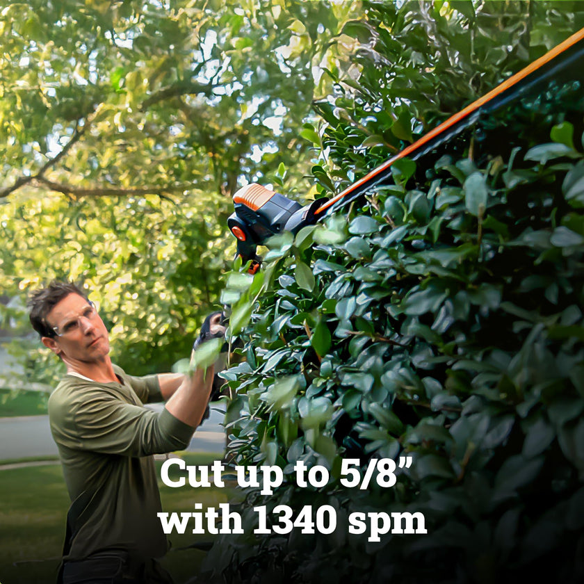 WORX WG252 20V 20