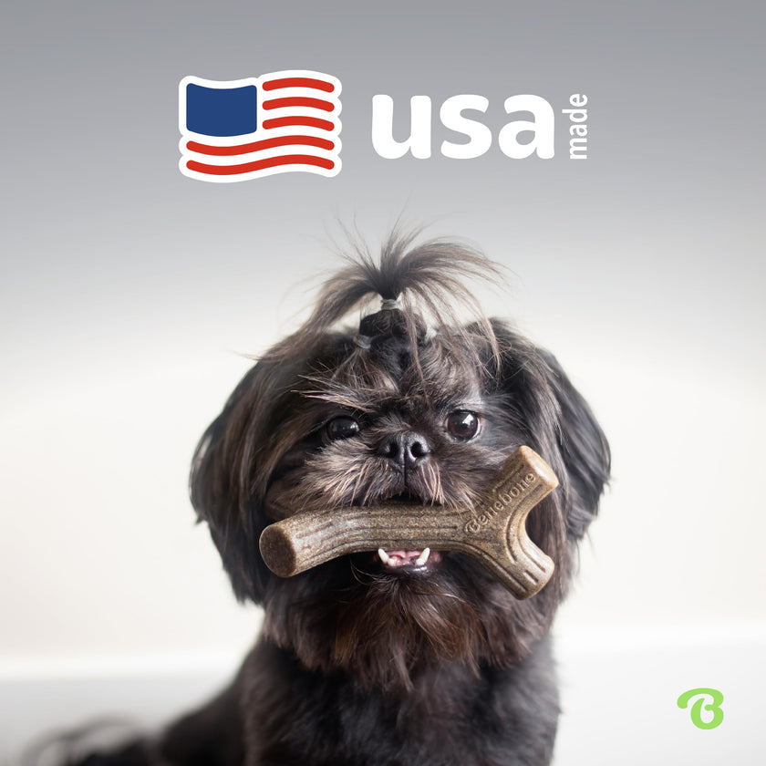 Benebone Small 4-Pack Dog Toys for Aggressive Chewers – Under 30 lbs 🍁 All In One Marketplace Canada