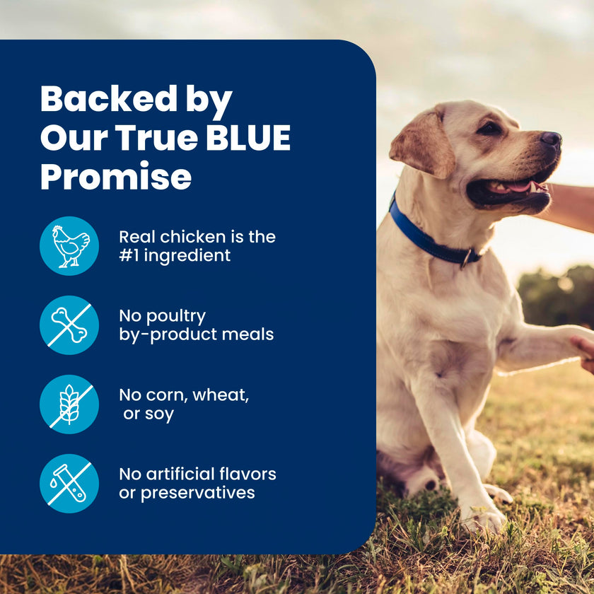 Blue Buffalo Life Protection Formula Chicken & Brown Rice Senior Dry Dog Food, Supports Immunity with Antioxidant-Rich LifeSource Bits, Promotes Healthy Muscle Development, Skin & Coat, 11.7kg/26lbs 🍁 All In One Marketplace Canada