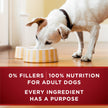 Purina ONE True Instinct Wet Dog Food, in Gravy Variety Pack 368g (6 Pack) 🍁 All In One Marketplace Canada