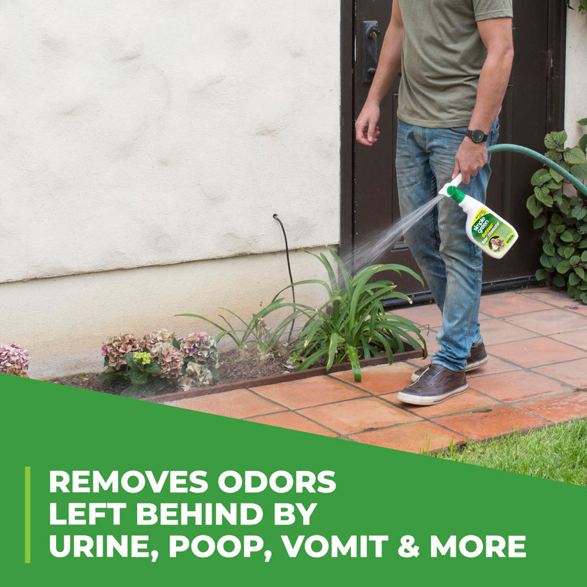 Simple Green Outdoor Odor Eliminator for Pets, Dogs, 1 Gallon Refill - Ideal for Artificial Lawns & Patio, Milky White 🍁 All In One Marketplace Canada