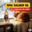 Bunny Punch Pure Atlantic Salmon Oil for Dogs & Cats - Liquid Food Topper - 32 oz 🍁 All In One Marketplace Canada