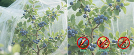 Ultra Fine Insect Mesh Garden Netting 3M x 15M, Extra Large Insect & Bird Barrier Netting, Crop Protection Plants Netting for Vegetables, Fruit Trees, Greenhouse, Customizable Plant Cover Protection 🍁 All In One Marketplace Canada
