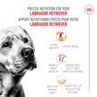 Royal Canin Labrador Retriever Adult Dry Dog Food, 30 lb bag 🍁 All In One Marketplace Canada