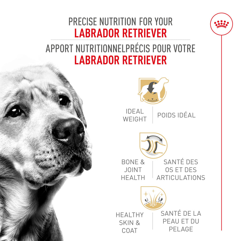 Royal Canin Labrador Retriever Adult Dry Dog Food, 30 lb bag 🍁 All In One Marketplace Canada