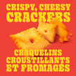 Pure Protein Cheesy Crackers, Cheddar, High Protein Snack, 10G Protein, Pack of 8 🍁 All In One Marketplace Canada