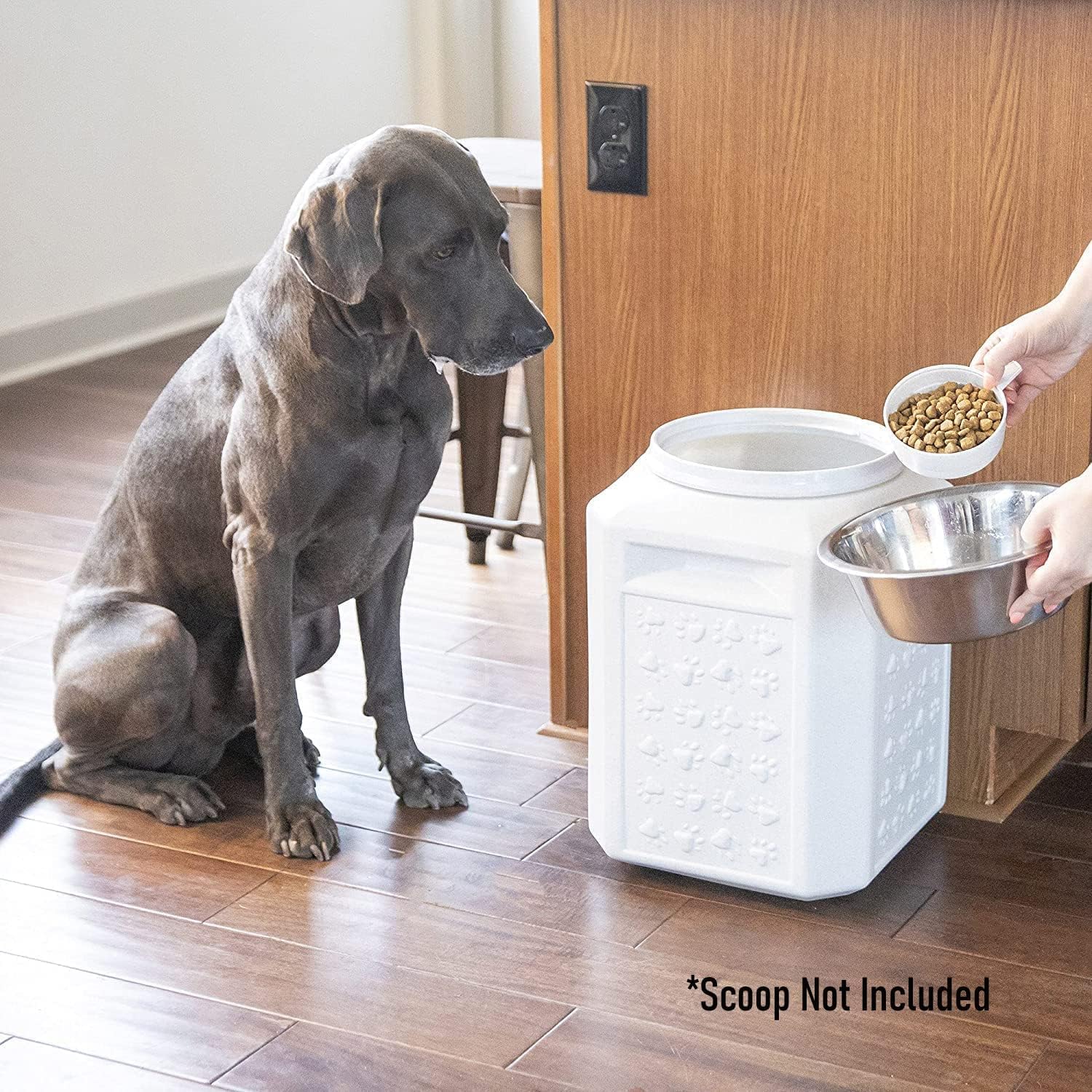 Gamma2 Vittles Vault Dog Food Storage Container (Durable, Food Safe, BPA Free Storage, Made in the USA with Recycled Materials)Holds up to 35 pounds 🍁 All In One Marketplace Canada