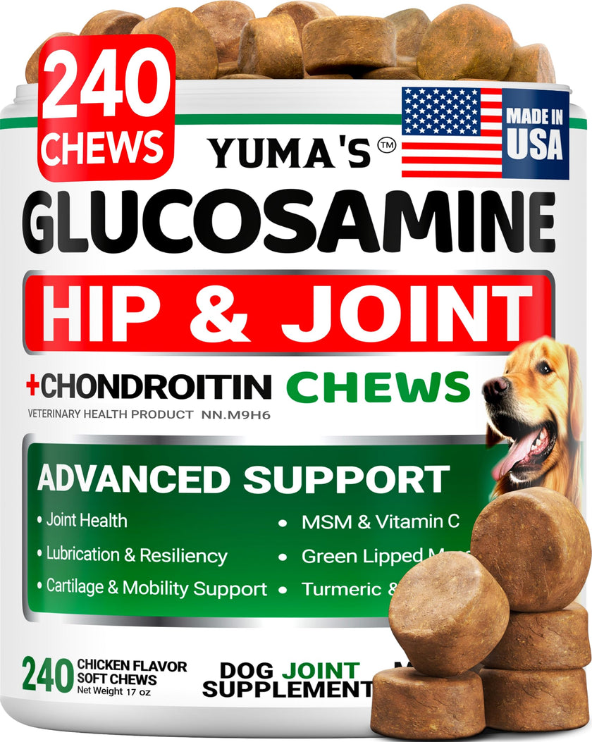 Glucosamine for Dogs - 240 Chews - Hip and Joint Supplement for Dogs with Chondroitin, MSM & Turmeric - Joint Pain Relief for Senior Dogs - All Breeds - Mobility Support - Value Pack - Made in USA 🍁 All In One Marketplace Canada
