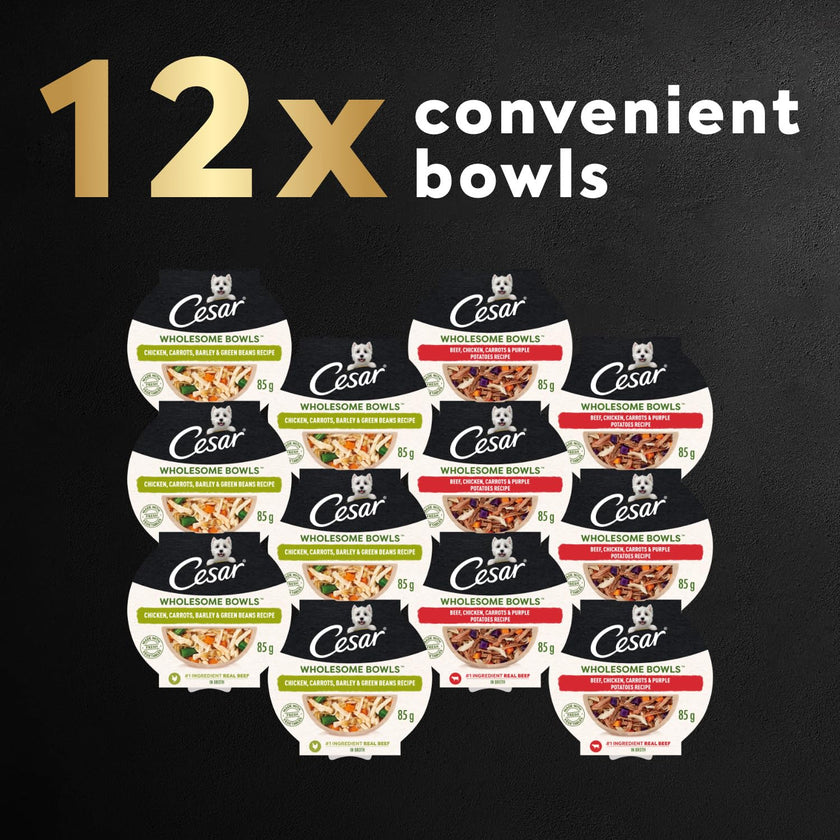 CESAR Wholesome Bowls Adult Wet Dog Food, Chicken Flavour, 85g (6 Pack) 🍁 All In One Marketplace Canada