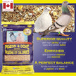 Hagen Pigeon and Dove Staple VME Seeds, 6-Pounds 🍁 All In One Marketplace Canada