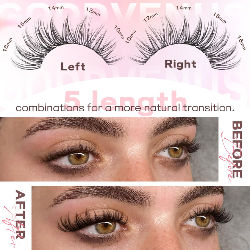 Goddvenus Cluster Lashes Kit Wispy Natural 300pcs Eyelashes Clusters 10-16mm DIY Eyelash Extensions Kit C Curl Individual Lashes for DIY Lash Extension 🍁 All In One Marketplace Canada