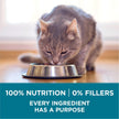 Purina ONE Dry Cat Food, Chicken & Rice Formula - 7.2 kg Bag 🍁 All In One Marketplace Canada