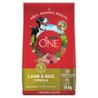 Purina ONE Dry Dog Food, Microbiome Balance Lamb & Rice - 14 kg Bag (1 Pack) 🍁 All In One Marketplace Canada