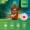 Nature's Way NutraVege Plant-based Omega-3 Extra Strength Vegetarian Liquid Supplement - 1000mg EPA + DHA - Cranberry Orange Flavour – Supports Healthy Heart, Eyes and Brain Function in Adults, 200 mL 🍁 All In One Marketplace Canada