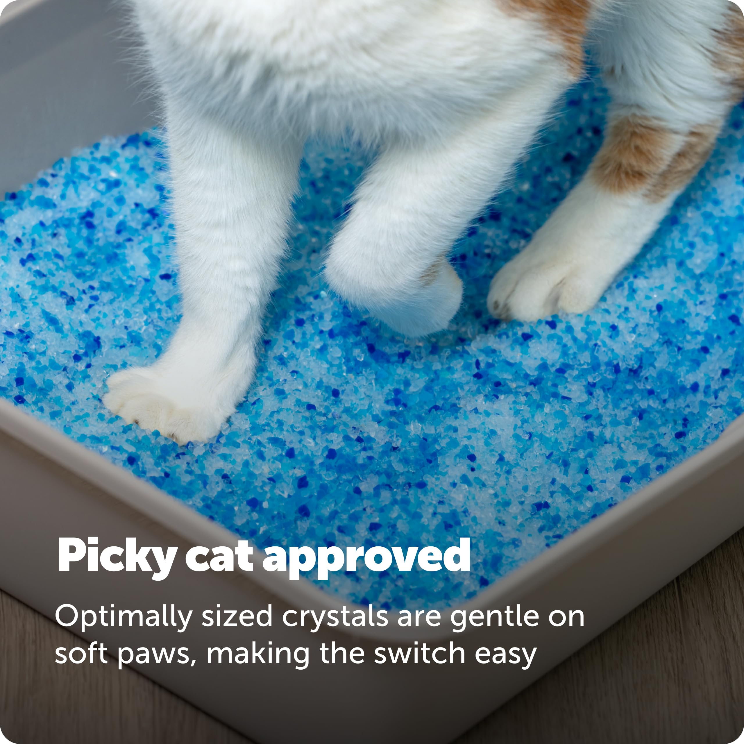 PetSafe ScoopFree Premium Blue Crystal Litter, Superior Odor Control - Low Tracking for Less Mess - Lasts Up to 1 Month (2 Pack of 4.3 Lb Bag) 🍁 All In One Marketplace Canada