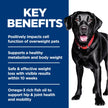 Hill's Science Diet Adult Perfect Weight & Joint Support Large Breed Dry Dog Food, Chicken Recipe 11.34 kg Bag 🍁 All In One Marketplace Canada
