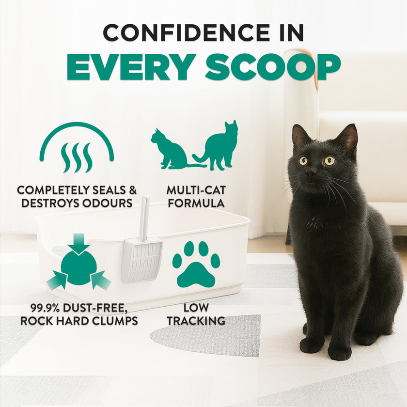 Arm & Hammer Clump & Seal Slide Clay Cat Litter, Non-Stop Odour Control, 12.7kg, 7 Days of Odour Control, Dust Free, Clumping Litter (Pack of 1) 🍁 All In One Marketplace Canada