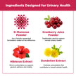 PlantVital D-Mannose Capsules - Made in Canada - 1000mg Daily Dose (2 Capsules) - Cranberry Pills for UTI Support & Bladder Health – DMannose and Cranberry Supplement - 120 Count, 2-Month Supply 🍁 All In One Marketplace Canada