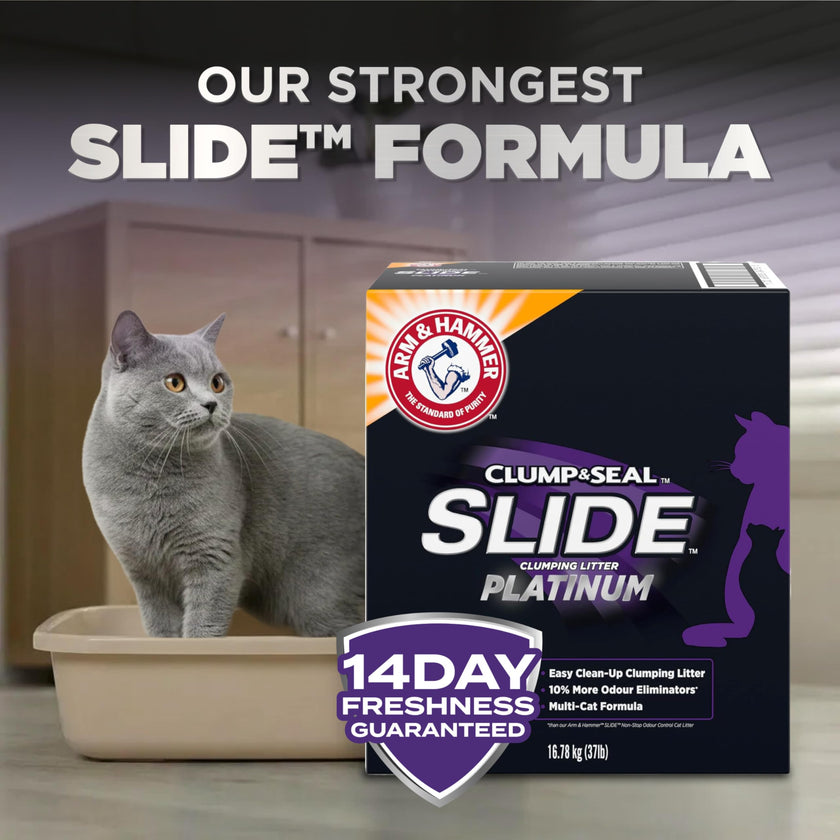 ARM & HAMMER Platinum Clumping Cat Litter, 2x Longer odour Control, Multi-Cat Clay, Ultimate 14-Day Freshness, Extra Oduor Eliminators, Effortless Clean, Dust-Free, Heavy-Duty Clumping, 16.78 kg 🍁 All In One Marketplace Canada