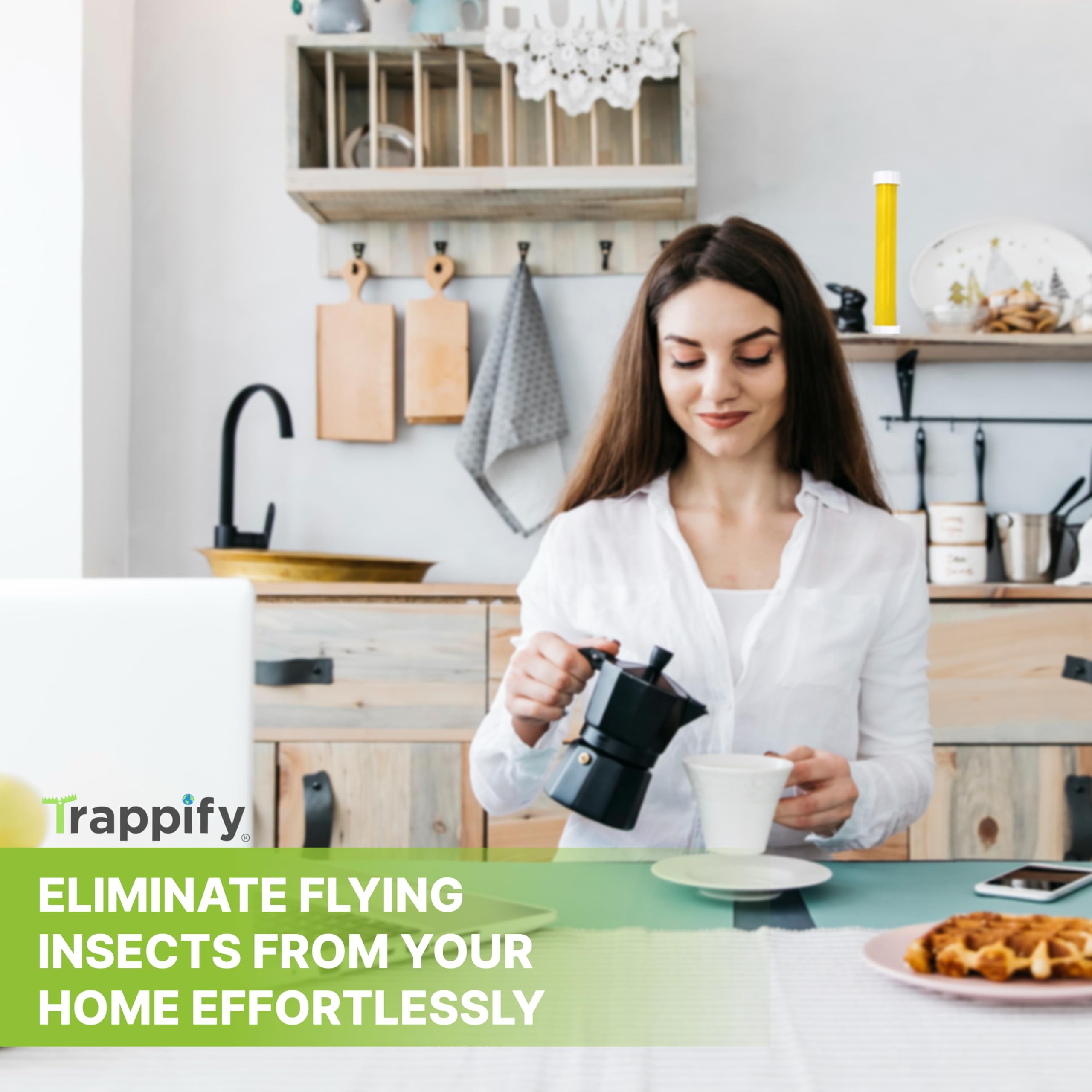 Trappify Hanging Fly Traps Outdoor: Fruit Fly Traps for Indoors | Fly Catcher, Gnat, Mosquito, & Flying Insect Catchers for Inside Home - Disposable Sticky Fly Trap for Indoor House Pest Control (2) 🍁 All In One Marketplace Canada