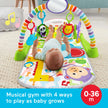 Fisher-Price Baby Playmat Deluxe Kick & Play Piano Gym Learning Toy & 2 Maracas Soft Rattles for Newborn to Toddlers Ages 0+ Months 🍁 All In One Marketplace Canada