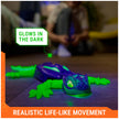 HEX Bots Glow-in-the-Dark Wall Crawler Gecko Remote Control Toy 🍁 All In One Marketplace Canada