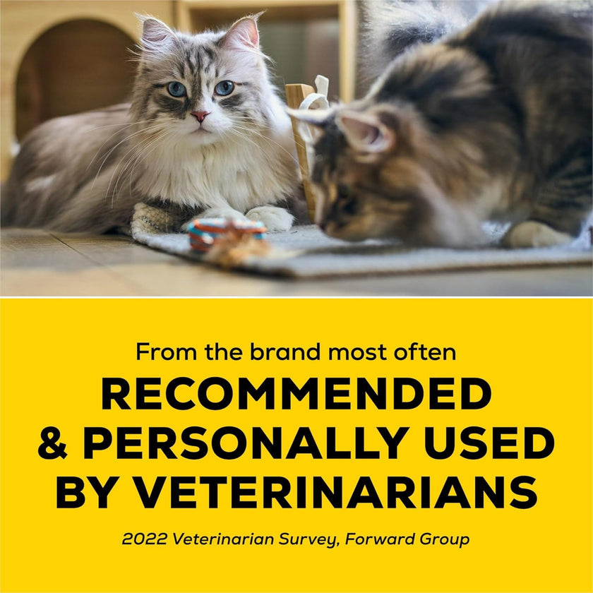 Purina Tidy Cats Lightweight, Low Dust, Clumping Cat Litter Odor Control 24/7 Performance Multi Cat Litter - 17 lb. Box 🍁 All In One Marketplace Canada