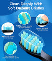 TEETHEORY Sonic Electric Toothbrushes for Adults and Kids, 8 Brush Heads Electric Toothbrush with 40000 VPM Deep Clean 5 Modes, Rechargeable Fast Charge 4 Hours Last 30 Days(Black) 🍁 All In One Marketplace Canada