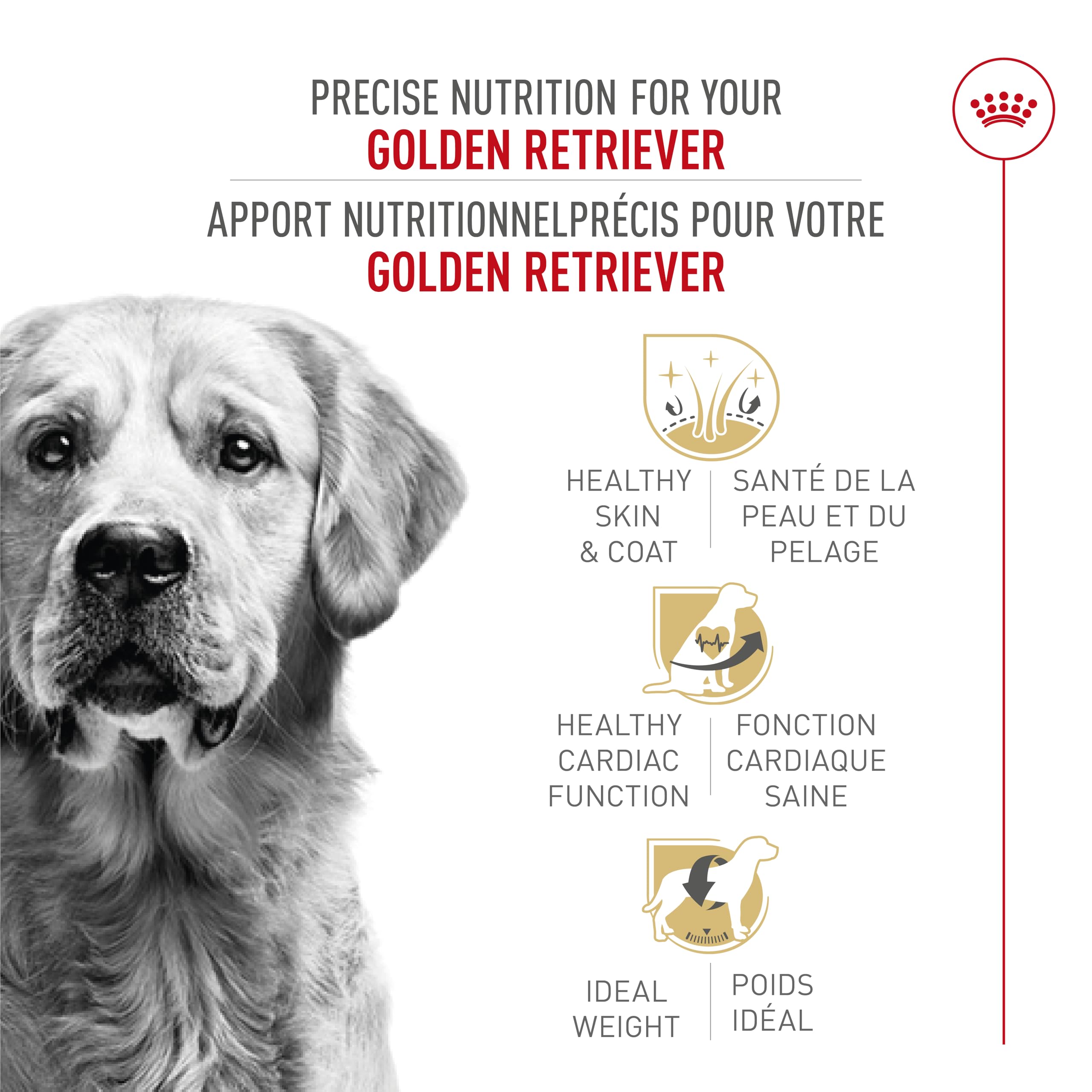 Royal Canin Golden Retriever Adult Dry Dog Food, 30 lb bag 🍁 All In One Marketplace Canada