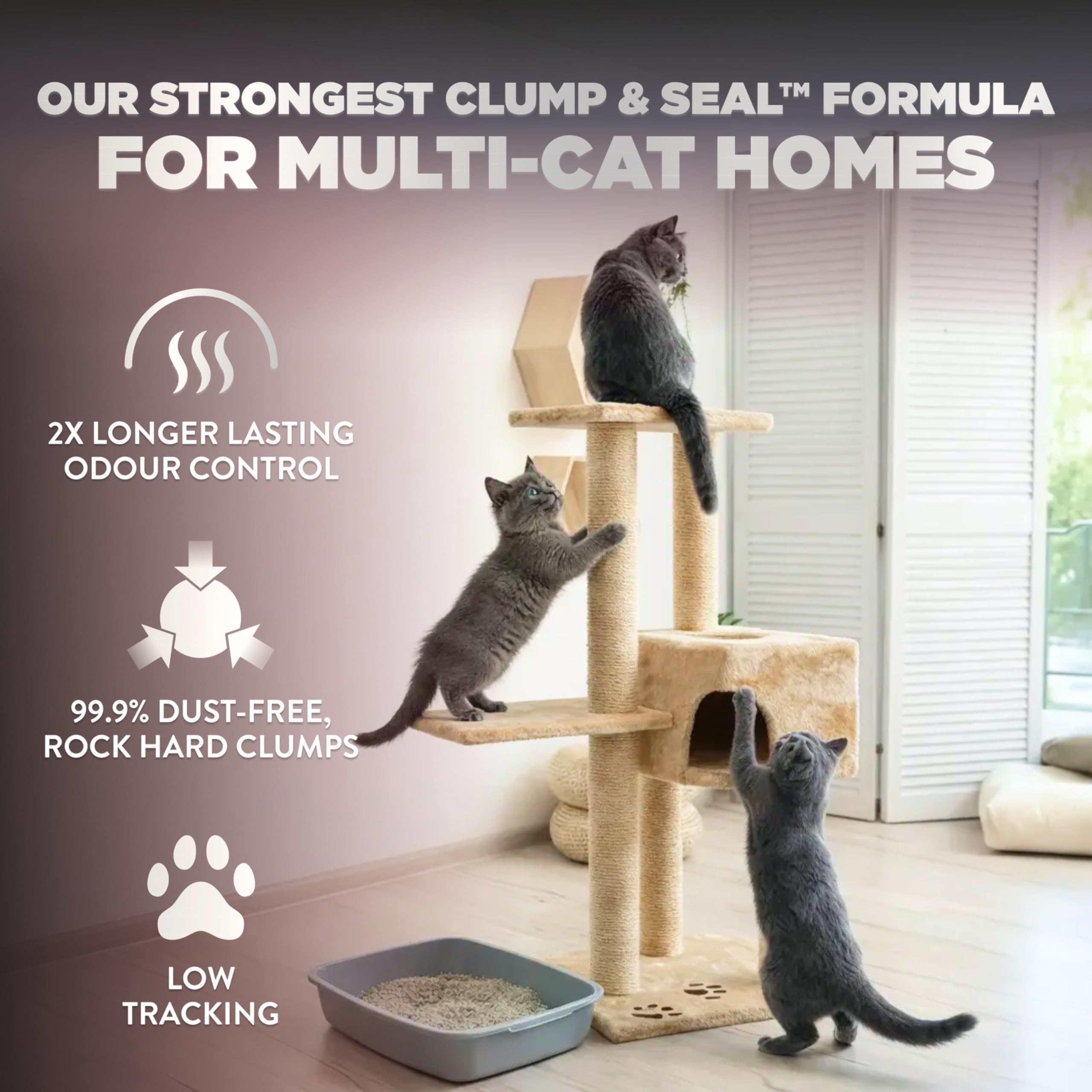 ARM & HAMMER Platinum Cat Litter Clump & Seal Complete Odour Sealing with 14 Days of Odour Control Multi-Cat, Hard Clumping Clay, 99.99% Dust Free 8.16kg (Pack of 1) 🍁 All In One Marketplace Canada