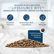 Blue Buffalo Tastefuls Chicken & Brown Rice Recipe Dry Indoor Cat Food for Adult Cats, Real Chicken First, Deliciously Healthy Natural Cat Food, Supports Digestive Care and Coat Health, 7 lbs. 🍁 All In One Marketplace Canada