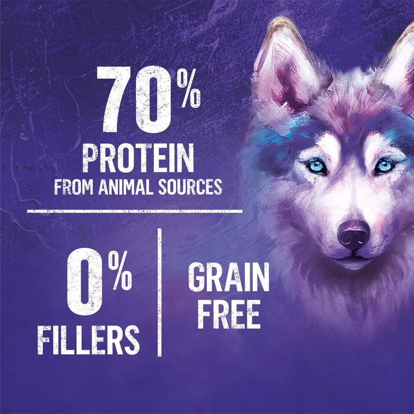 Beyond Wild Dry Dog Food, Turkey, Egg & Bone Broth 4.5kg 🍁 All In One Marketplace Canada