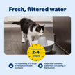 PetSafe Drinkwell Single Cell Carbon Replacement Filter, Dog and Cat Water Fountain Filters, 12 Pack White 🍁 All In One Marketplace Canada