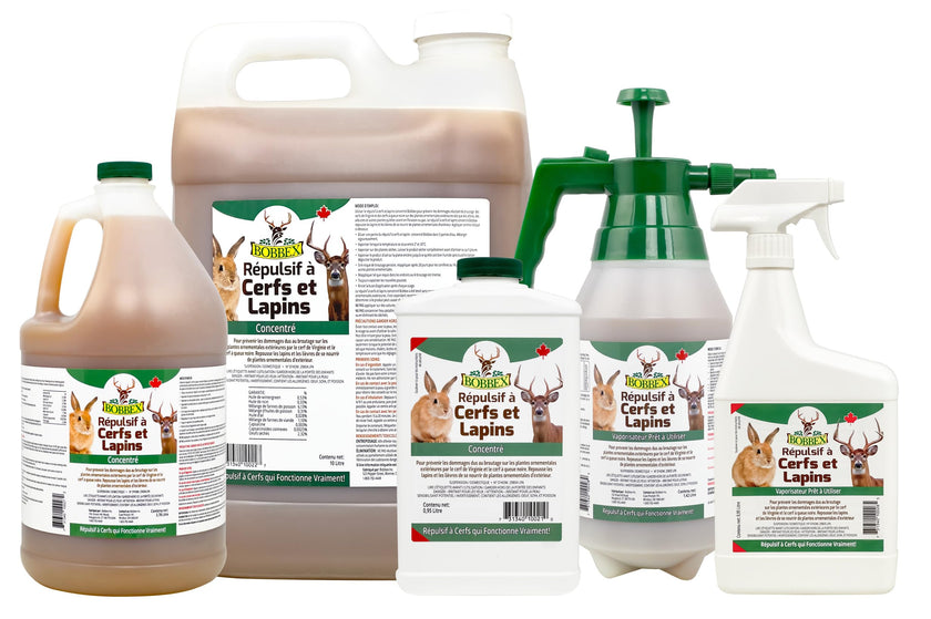 Bobbex Deer & Rabbit Repellent 0.95 Liter Concentrate 🍁 All In One Marketplace Canada