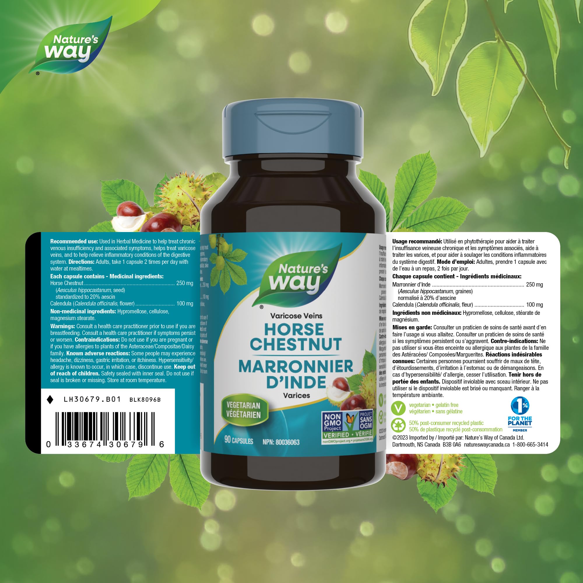 Nature's Way Horse Chestnut Supplement – Helps Treat Varicose Veins and Associated Symptoms – Digestive System Inflammation Relief – 100mg Calendula, 250mg Horse Chestnut – 90 Vegetarian Capsules 🍁 All In One Marketplace Canada