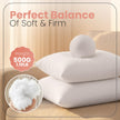 Utopia Bedding Throw Pillows Insert (Pack of 2, White) - 18 x 18 Inches Bed and Couch Pillows - Indoor Decorative Pillow 🍁 All In One Marketplace Canada