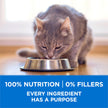 Purina ONE +Plus Dry Cat Food, High Protein with Salmon & Whitefish 3kg 🍁 All In One Marketplace Canada