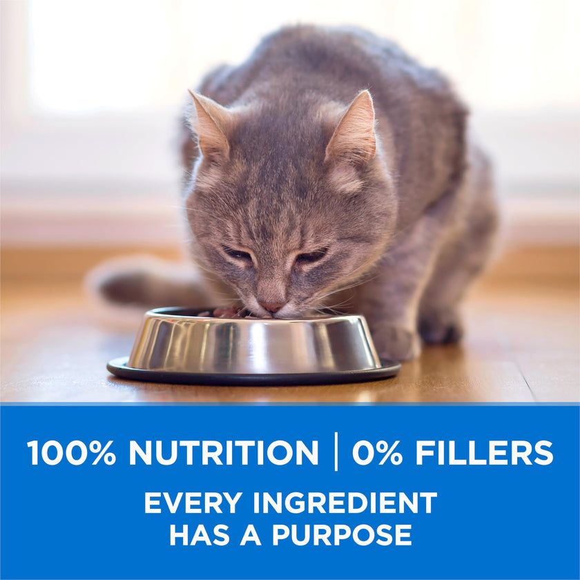 Purina ONE +Plus Dry Cat Food, High Protein with Salmon & Whitefish 3kg 🍁 All In One Marketplace Canada