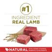 Purina ONE Dry Dog Food, Microbiome Balance with Lamb & Rice 3.63kg 🍁 All In One Marketplace Canada